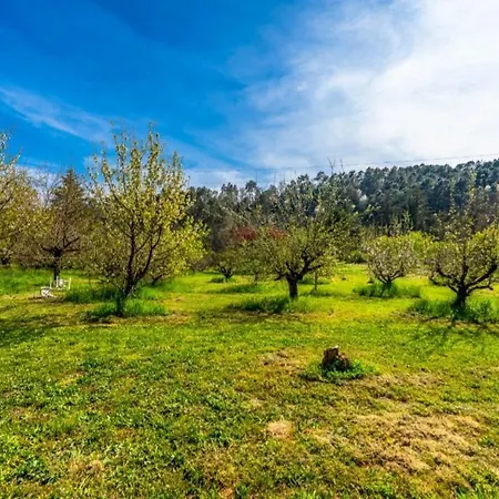 Apartamento Mas Du Pommier Granny